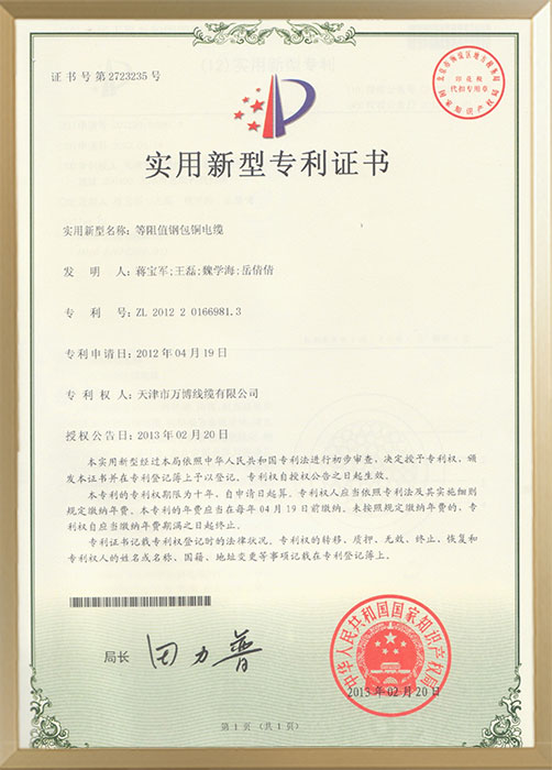 ����ֵ�ְ�ͭ����