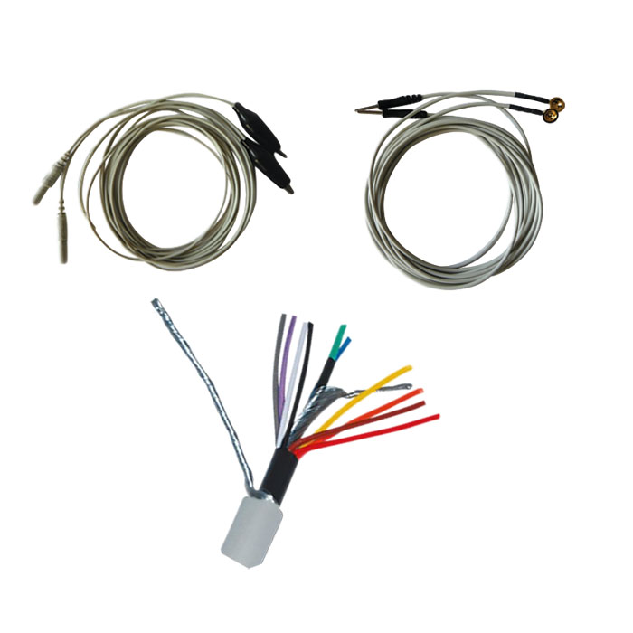 �ĵ硢�Ե�����ϵ��