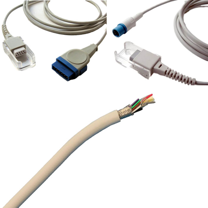 Ѫ����ϵ��